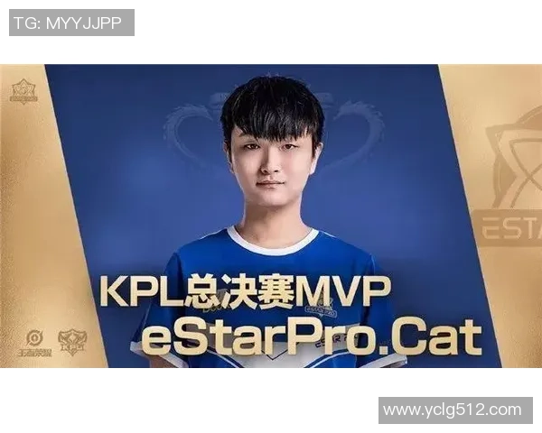 武汉乒乓球队的崛起之路精英赛背后的奋斗与荣耀故事